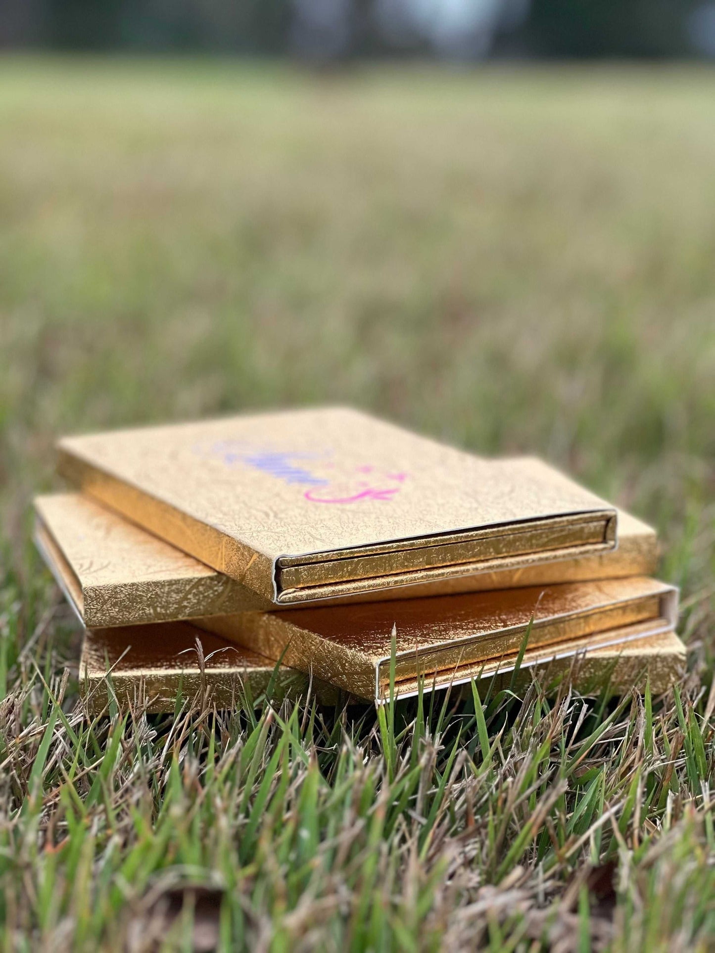 GlamAura Eyeshadow Palette: Versatile Beauty & Endless Looks - Glam Studio By Annie Usman